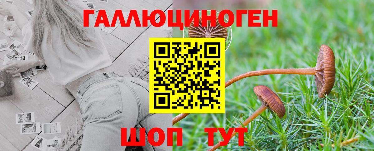 Псилоцибиновые грибы ЛСД  Псилоцибиновые грибы прущие грибы  Медногорск  Вход с VPN 