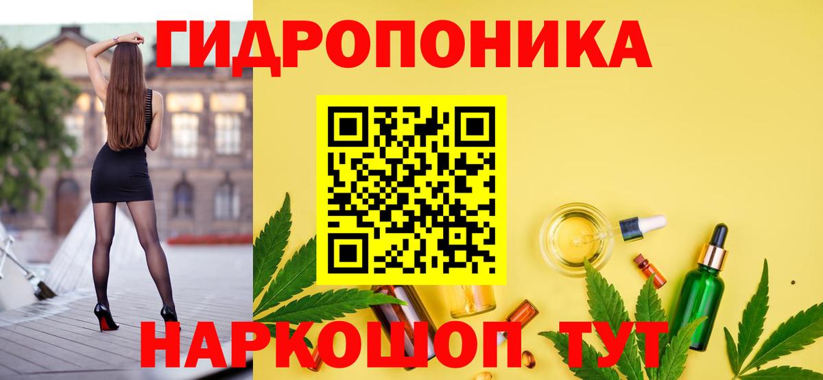 Марихуана Amnesia  Бошки марихуана планчик  Вход с VPN  Медногорск  Бошки Шишки Ganja 